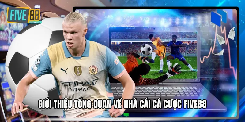 Giới thiệu tổng quan về nhà cái cá cược Five88